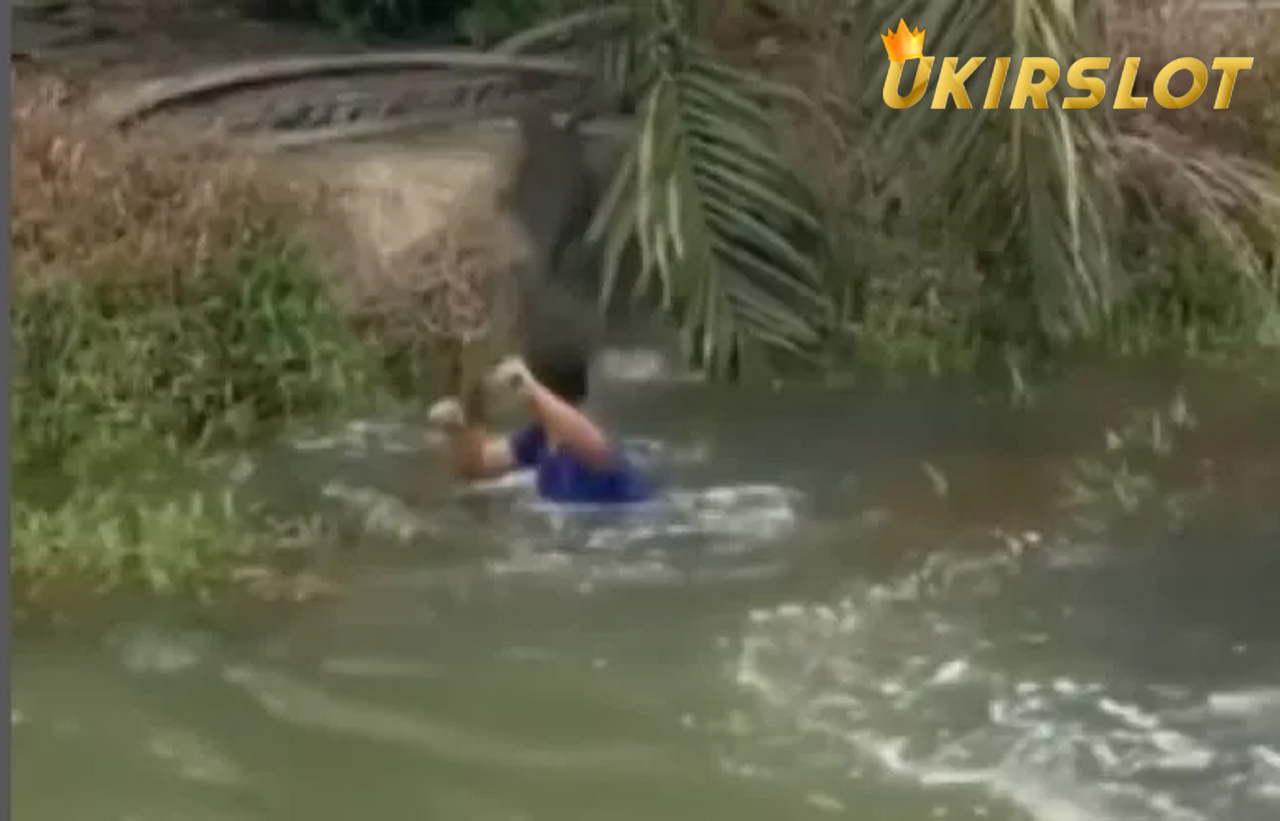 Cowok Ini Berenang di Sungai, Biawak Lari Terbirit-birit, Publik: Celana Dalamnya Gak Pernah Dicuci