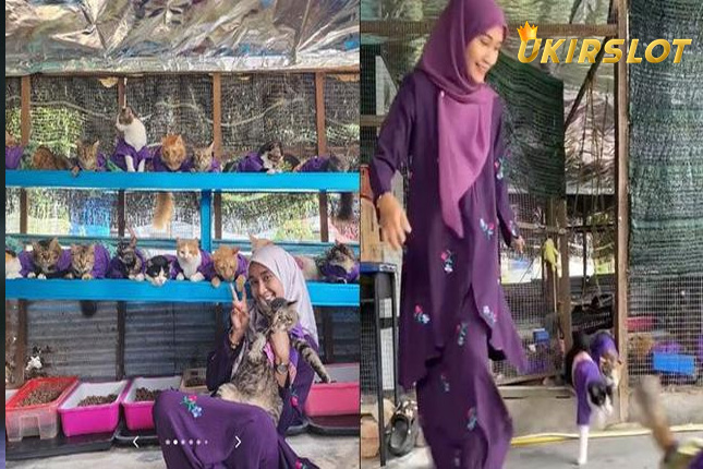 Wanita Ini Pakai Baju Lebaran Kembaran dengan 61 Kucingnya, Meriah Banget