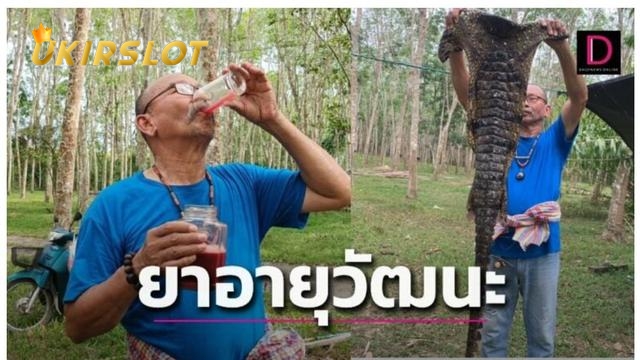 Aneh tapi Nyata, Pengusaha Thailand Viral Akibat Minum Darah Buaya Demi Tetap Bugar