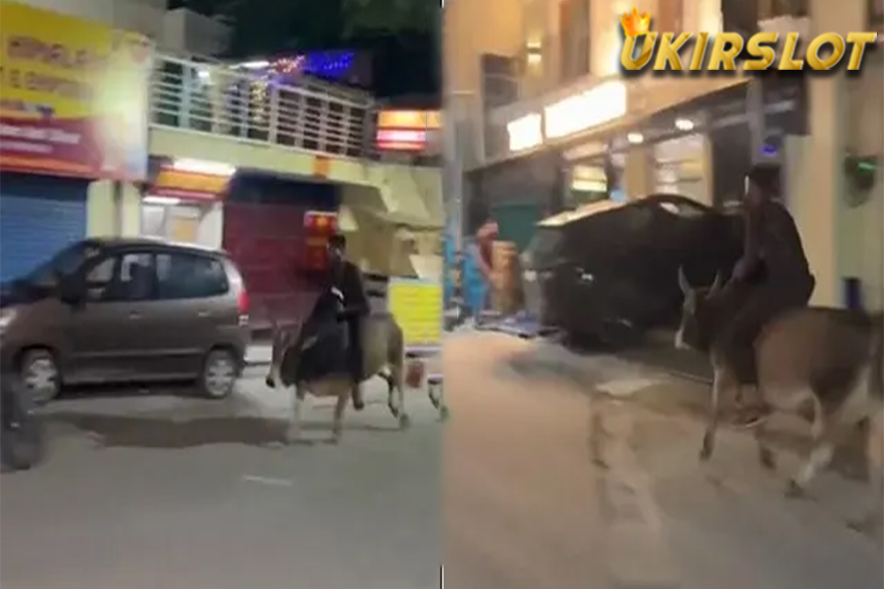 Pria Ini Berkeliaran Tengah Malam Sambil Tunggangi Banteng, Bikin Heboh Warga