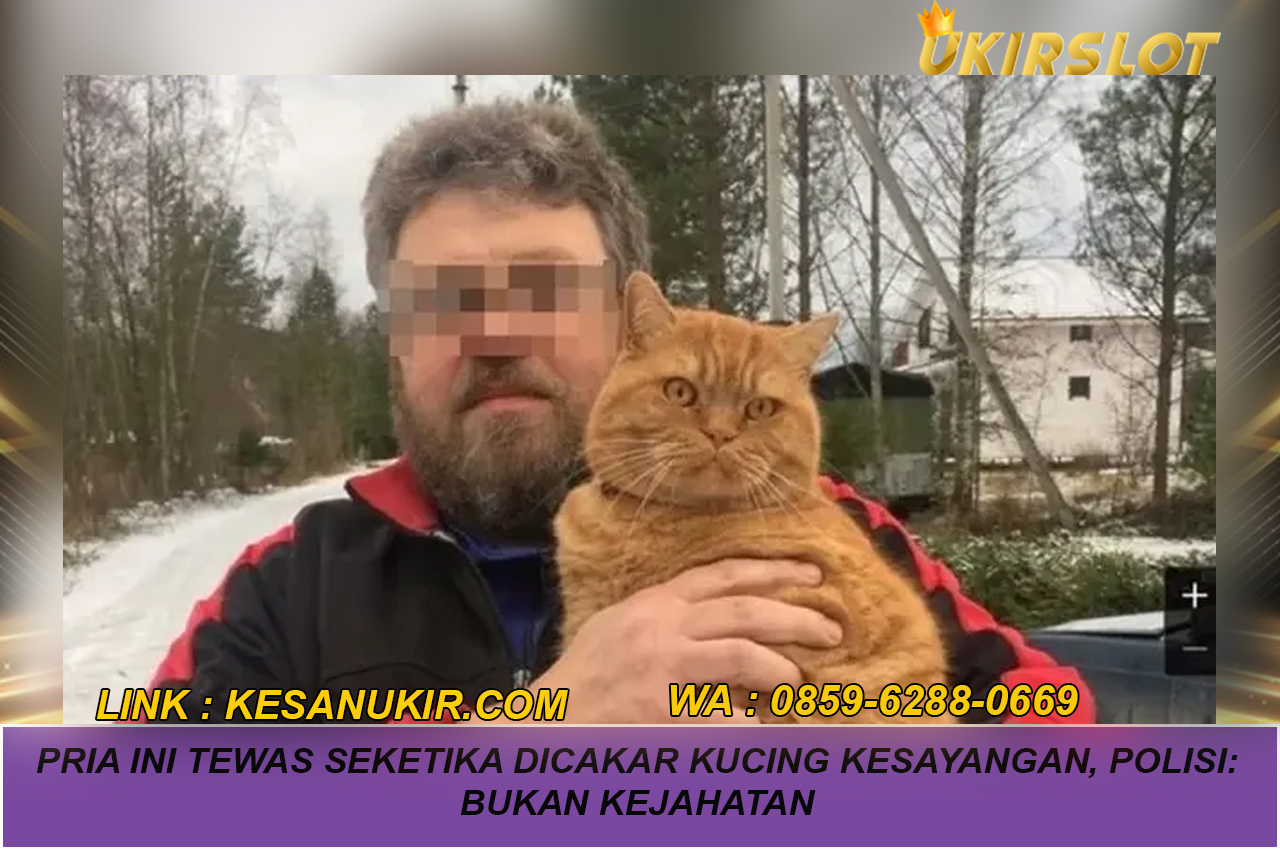 Pria Ini Tewas Seketika Dicakar Kucing Kesayangan, Polisi: Bukan Kejahatan