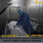 Tes Kerja Ini Haruskan Pekerja Berada di Kamar Mayat 10 Menit, Demi Gaji Menarik